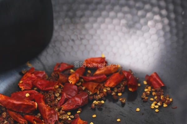 鲜嫩爽滑的水煮肉片的做法图解3