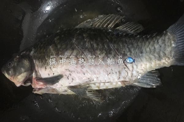 口蘑鲫鱼汤的做法图解4