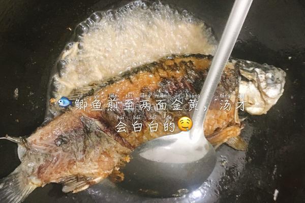 口蘑鲫鱼汤的做法图解5