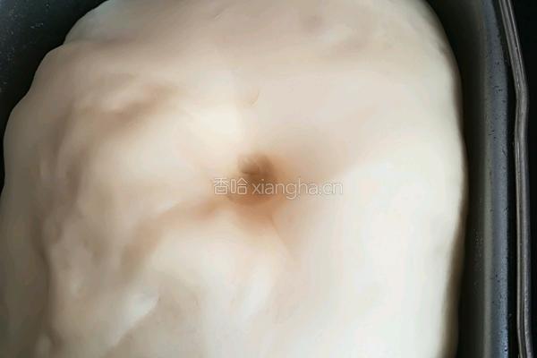 蜜豆海苔肉松面包的做法图解3