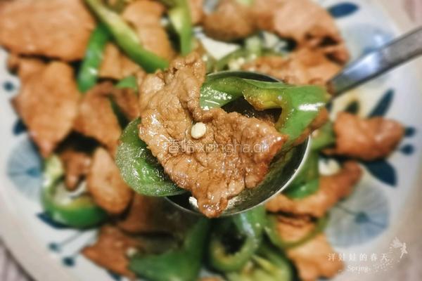 小炒肉的做法图解5