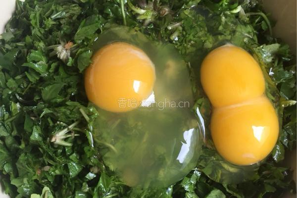 荠菜炒蛋的做法图解2