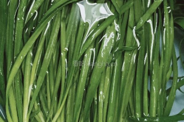 虾米鸡蛋韭菜盒子的做法图解1