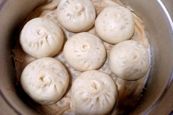 卷心菜素馅包子的做法图解22