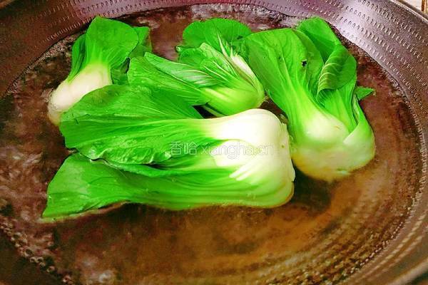 香菇油菜的做法图解4