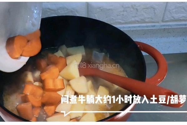 番茄牛腩(配一切)的做法图解16