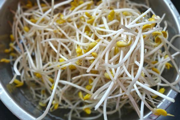 雪菜炒黄豆芽的做法图解1