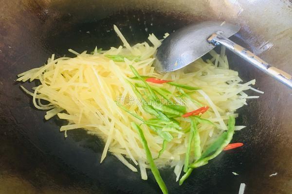 清炒土豆丝的做法图解7