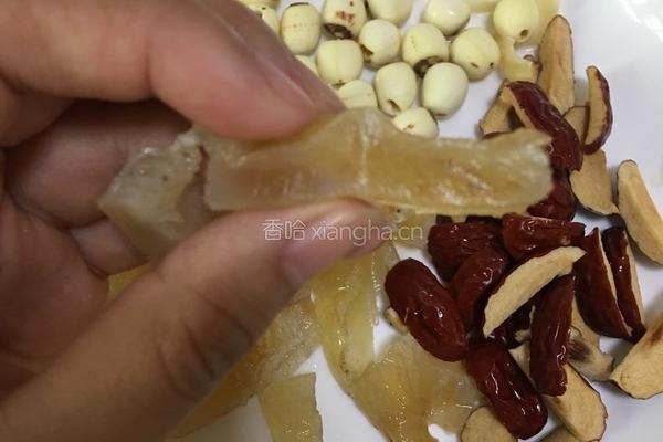 花胶炖奶的做法图解2