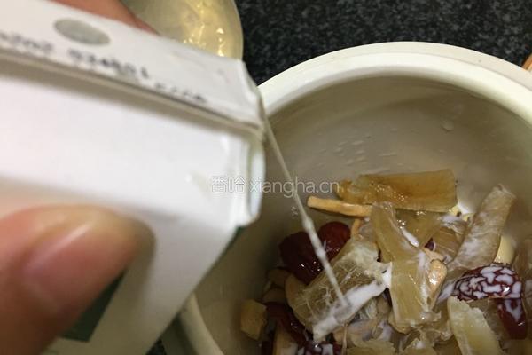 花胶炖奶的做法图解3