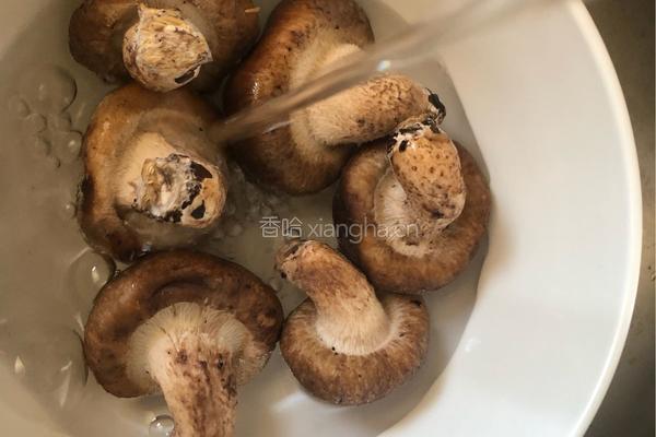 茴香打卤面的做法图解1