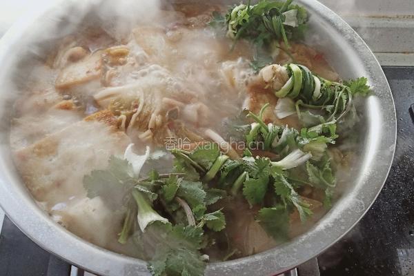 麻连鱼头火锅的做法图解18