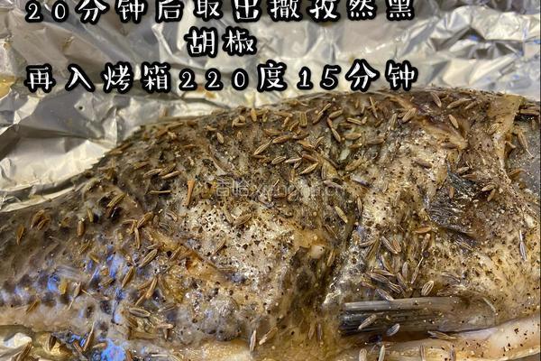 0失败烤箱版烤鱼的做法图解4