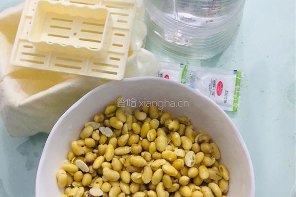 自制豆腐的做法图解2