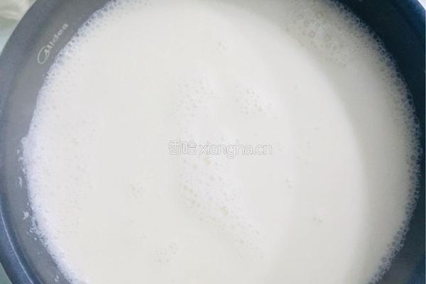 自制豆腐的做法图解8