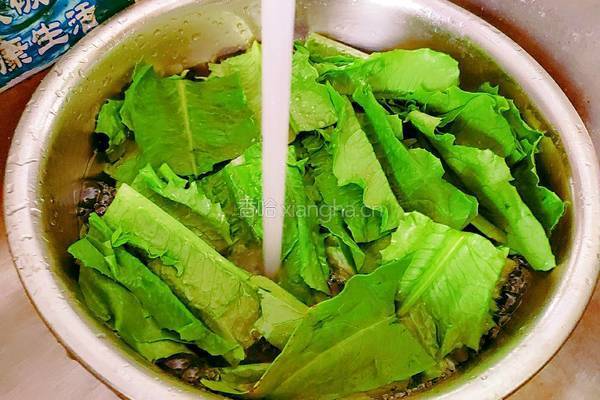 清炒油麦菜的做法图解4