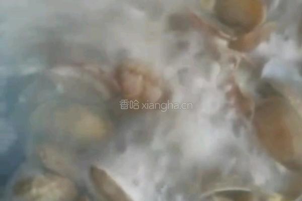 爆炒花甲的做法图解2
