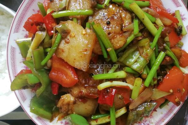 回锅肉的做法图解4