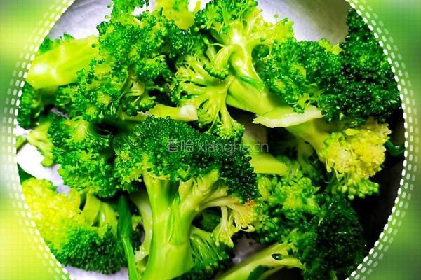 低脂低卡高蛋白的虾仁鸡胸肉燕麦蔬菜饼的做法图解1