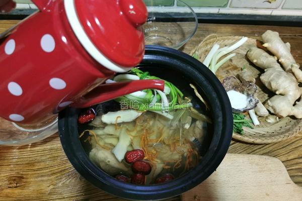 人参虫草花桂圆红枣鸡汤的做法图解8
