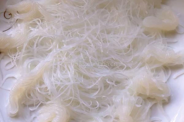 蒜茸粉丝虾的做法图解5