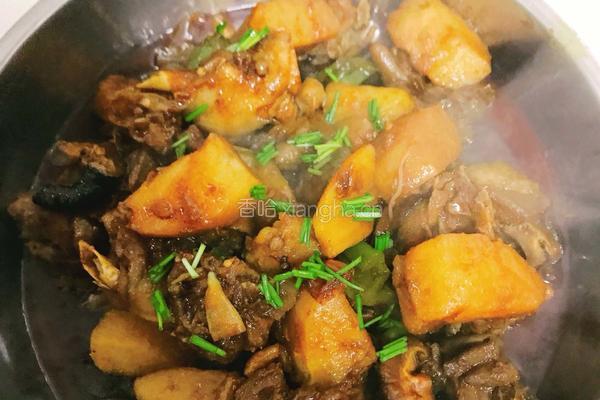 土豆烧鸡块的做法图解16
