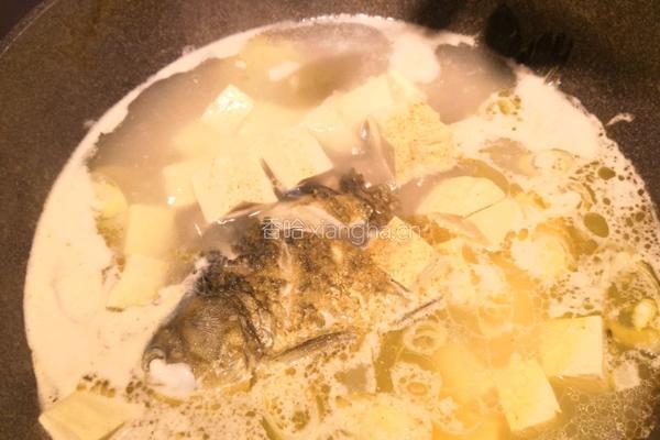 鲫鱼豆腐汤的做法图解12