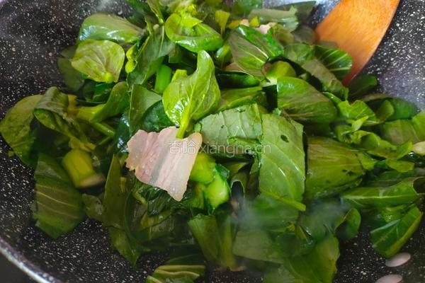 咸肉炒头薹的做法图解7