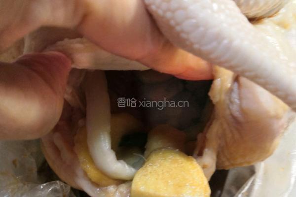 五香烧鸡的做法图解2
