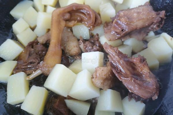 土豆炖鸭肉的做法图解7