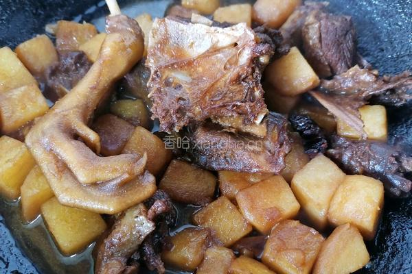 土豆炖鸭肉的做法图解8