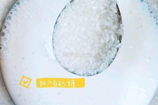 脆皮炸鲜奶（炸牛奶）的做法图解5