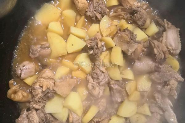 小鸡炖土豆的做法图解8
