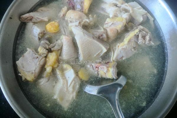 小鸡炖土豆的做法图解4