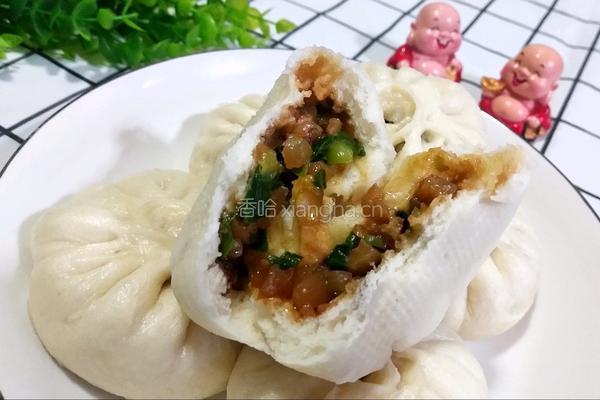 肉皮包子（肉皮韭菜）的做法图解23