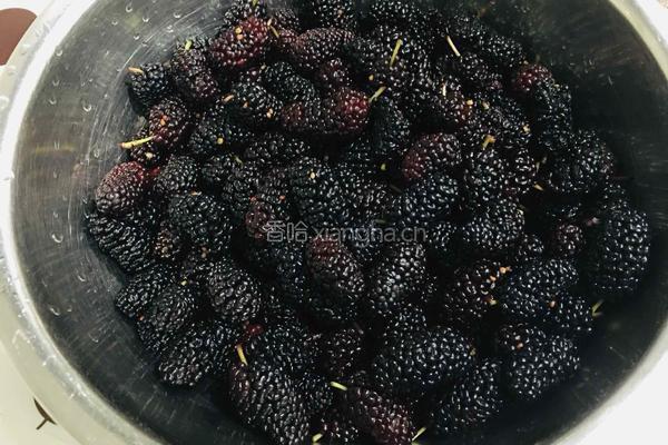 桑葚果酱的做法图解1