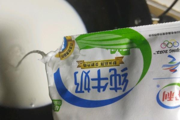 自制奶酪的做法图解1