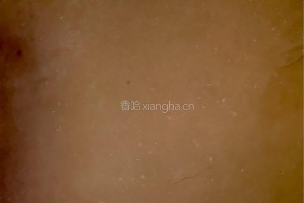 猫耳朵的做法图解6