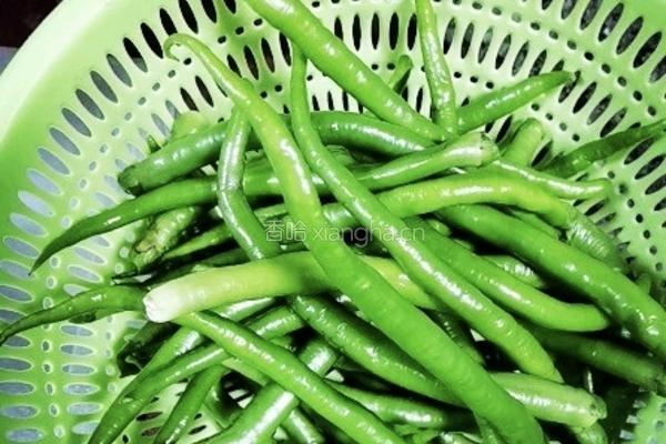 虎皮二荆条的做法图解1