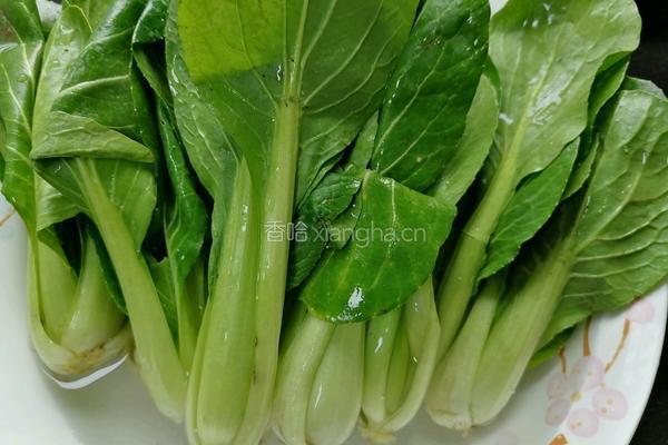 油菜豆腐的做法图解1