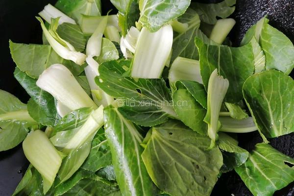 油菜豆腐的做法图解6