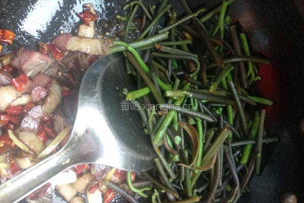 蕨菜炒腊肉的做法图解9