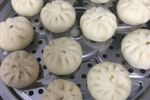 白菜猪肉包的做法图解4