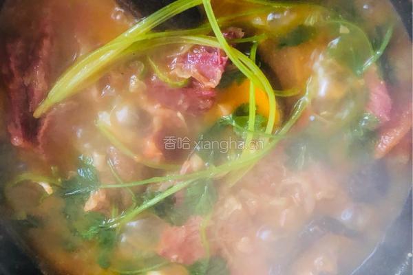 笋炖牛腩的做法图解3