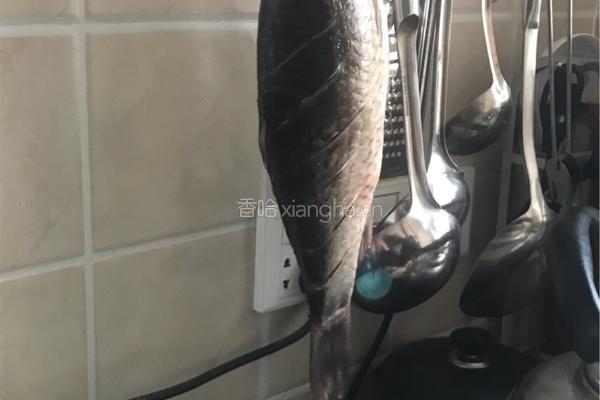 烧鲫鱼的做法图解1