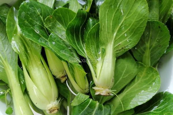油菜炒虾仁的做法图解1