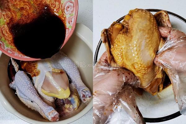 手撕鸡的做法图解3