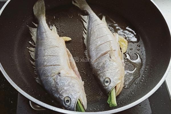 香煎黄鱼的做法图解4
