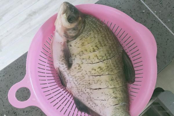 香菇武昌鱼的做法图解1