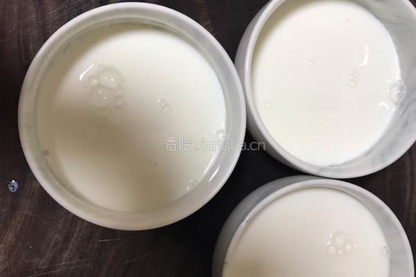 双皮奶的做法图解6